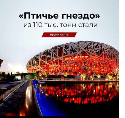 "Птичье гнездо" из стали "Птичье гнездо" из стали